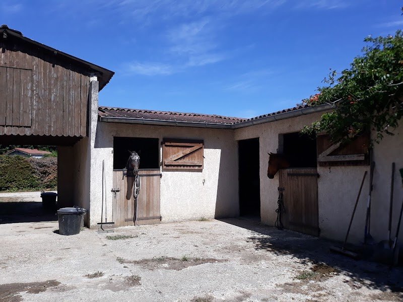 écurie de la Passerelle - photo 1