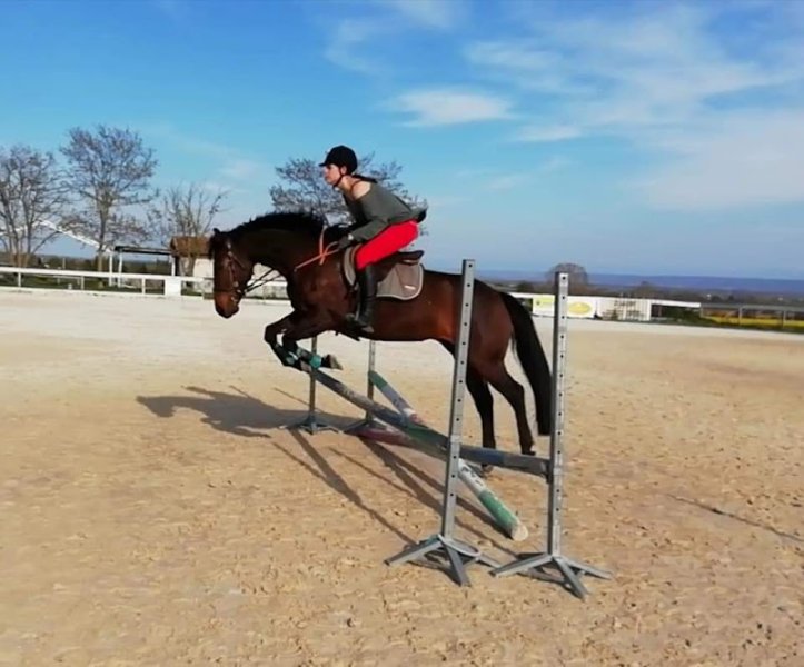 Poney club HARLAND - photo 2
