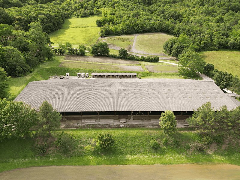 CM Quarter Horses | Centre Équestre - Reining - Pension - Entrainement - photo 2