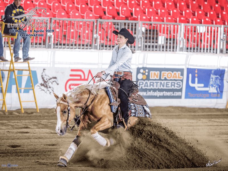 CM Quarter Horses | Centre Équestre - Reining - Pension - Entrainement - photo 3