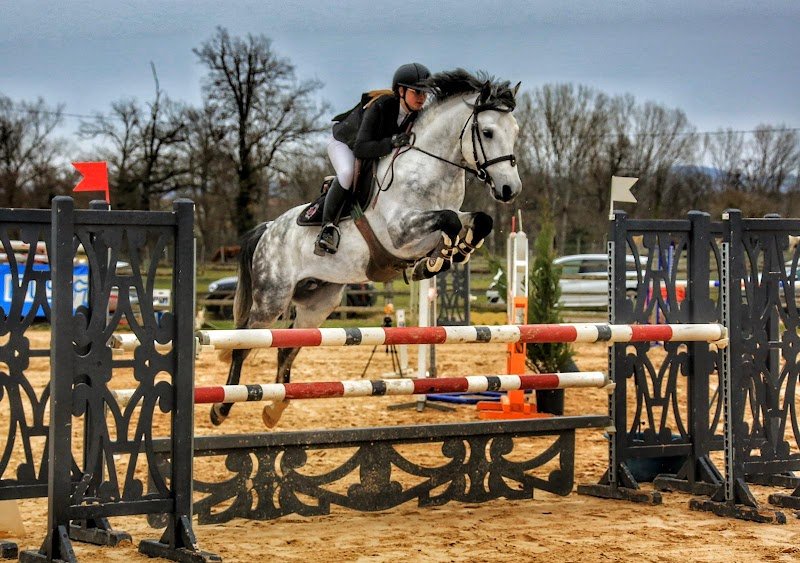 Les écuries d'indica - photo 1