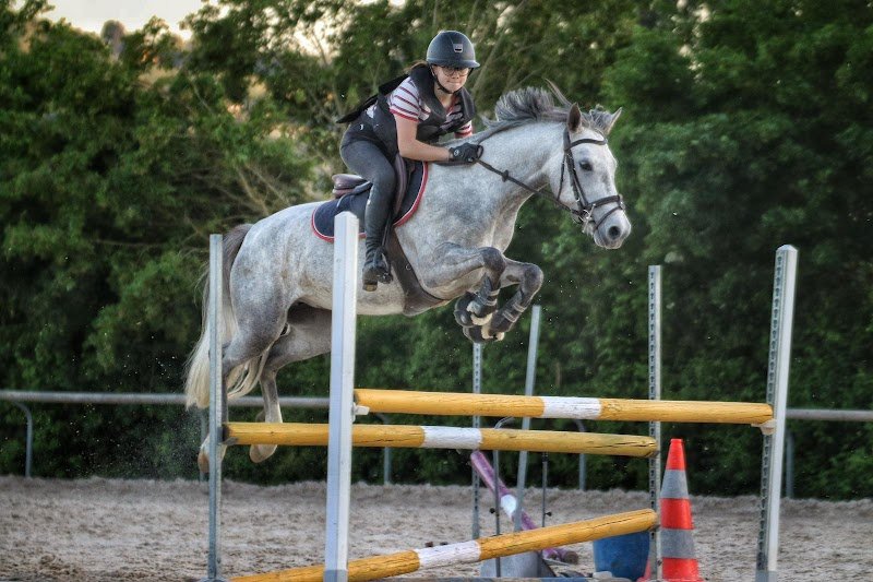 Les écuries d'indica - photo 3