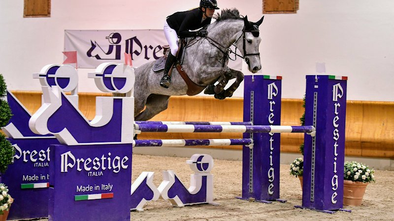 Haras d'Argeron - photo 1