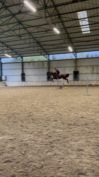 CENTRE EQUESTRE LES 4 FERS - photo 2