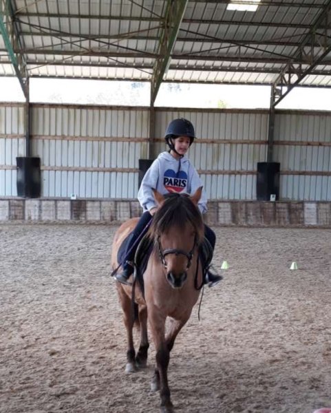 CENTRE EQUESTRE LES 4 FERS - photo 3