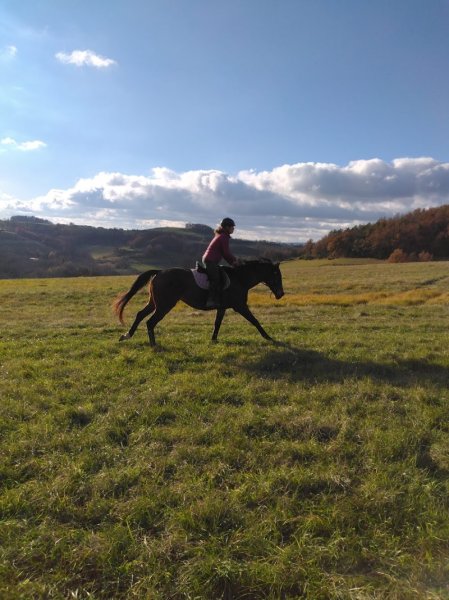Requet Nadège - Ecurie ALMAE
