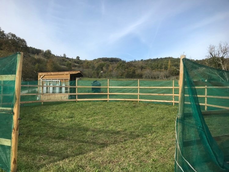 Requet Nadège - Ecurie ALMAE - photo 3