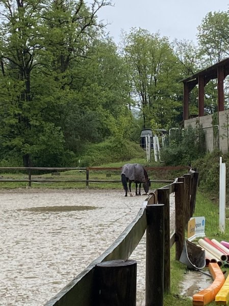 Ju’Stable - photo 3