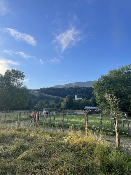 La Colline des Chouquettes - Paddock Paradise