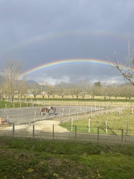 La Colline des Chouquettes - Paddock Paradise - photo 2
