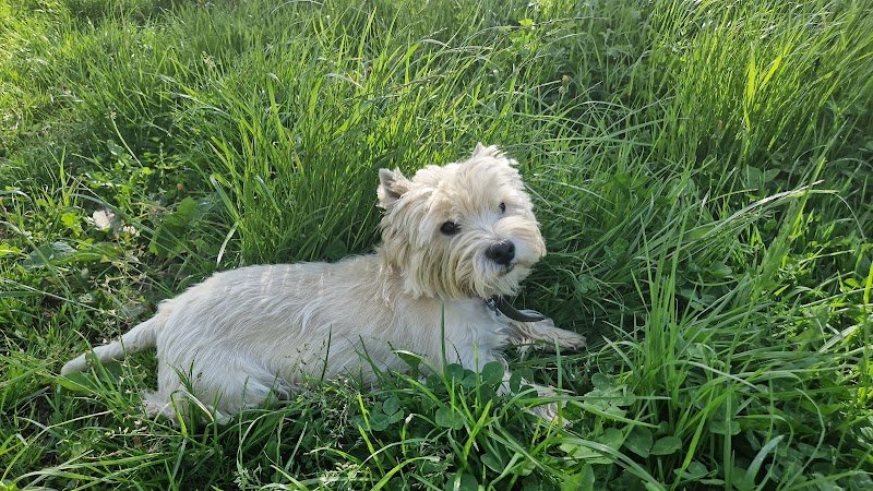 Pension et Elevage du cœur de Belledonne