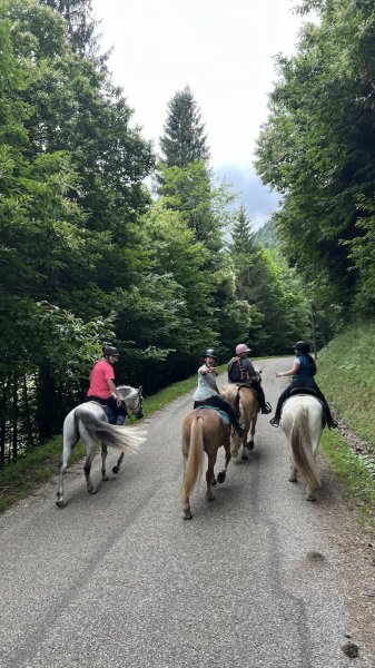 Poney club le manège enchanté - photo 2