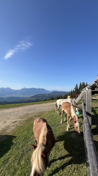 Poney club le manège enchanté - photo 3