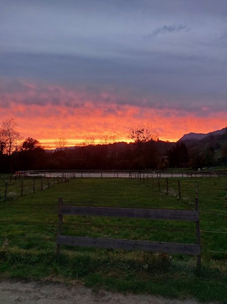 Écurie de Coise - photo 1