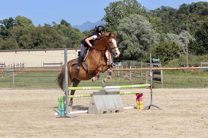 Écurie de Coise - photo 3