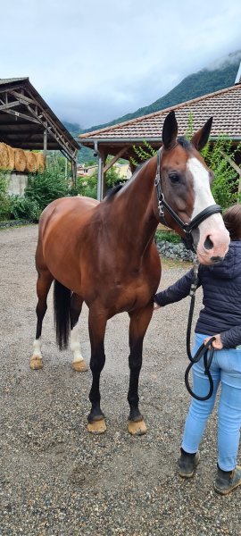 Club Hippique des 4 Fers - photo 3