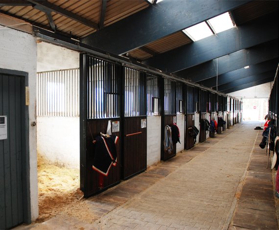 Centre Hippique des Alpes - photo 1