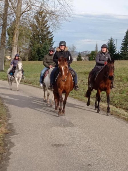 HARAS DE CHEVAL EVASION - photo 1