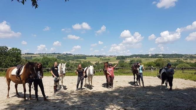 HARAS DE CHEVAL EVASION - photo 2