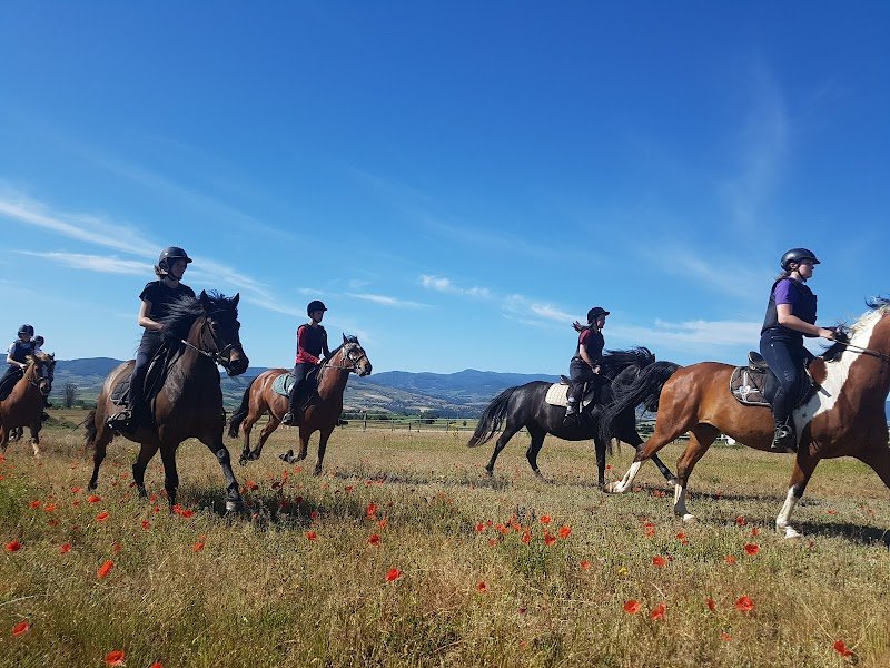 L'Ecurie Bleue - photo 1