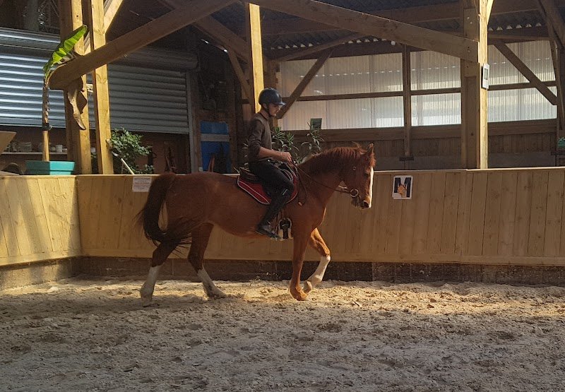 L'Ecurie Bleue - photo 2