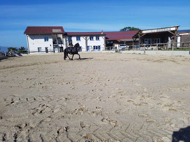 L'Ecurie Bleue - photo 3