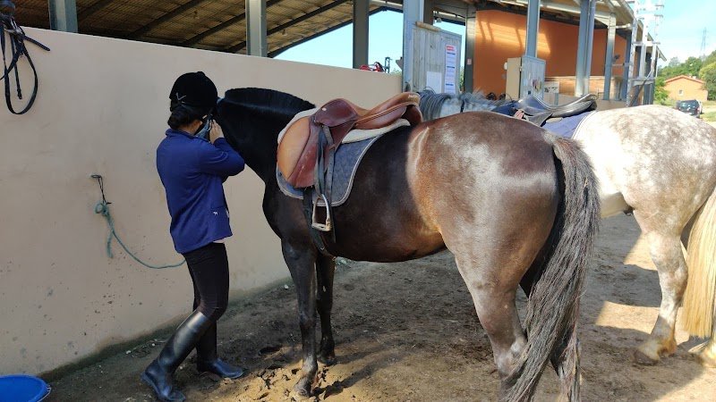 Centre Equestre du Vieux Moulin - photo 2