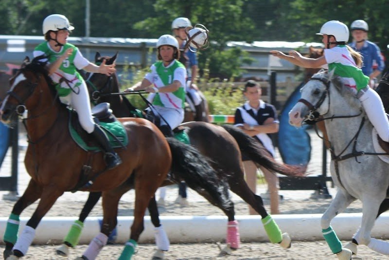 Centre Equestre du Vieux Moulin - photo 3