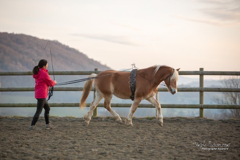 Les Écuries Dauphinoises - photo 2