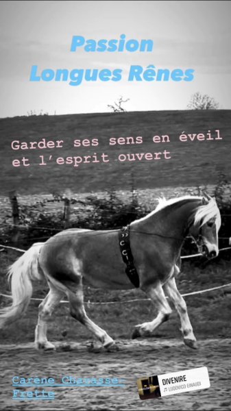 Les Écuries Dauphinoises - photo 3