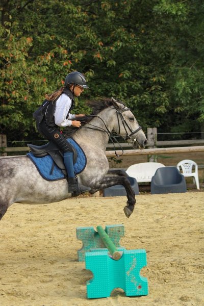 Les Écuries de Beaurepaire - photo 2