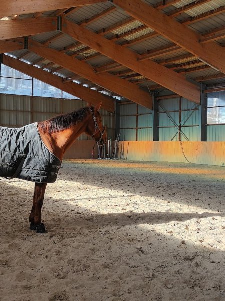 Ecurie du serre, Centre équestre - photo 1