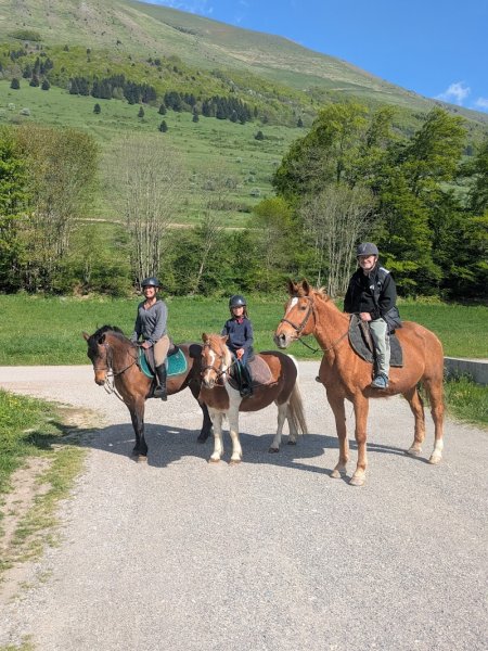 Ecurie du serre, Centre équestre - photo 2
