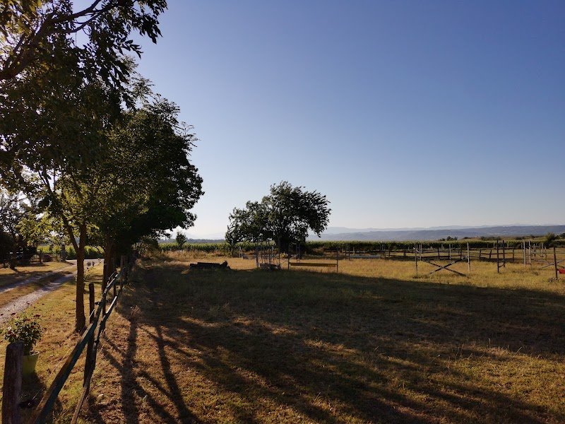 Ferme équestre les chevaliers - photo 2