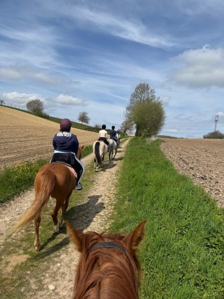 Ecuries Des Effeuillers - photo 2