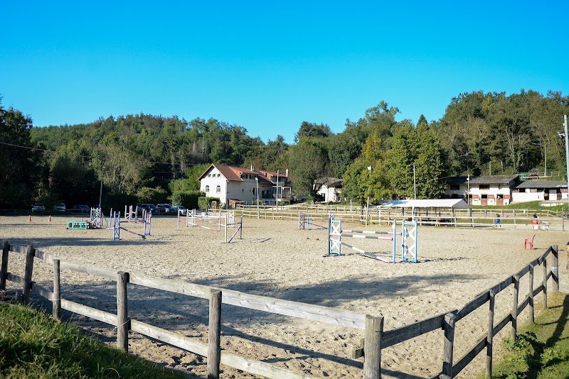 CENTRE EQUESTRE DU MOULIN ET ELEVAGE D - photo 1