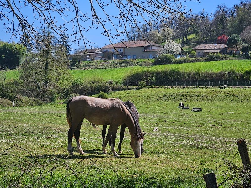 CENTRE EQUESTRE DU MOULIN ET ELEVAGE D - photo 2