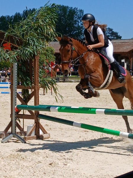 Poney Club Du Marais - photo 1