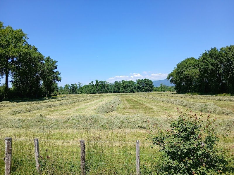 Poney Club Du Marais - photo 3