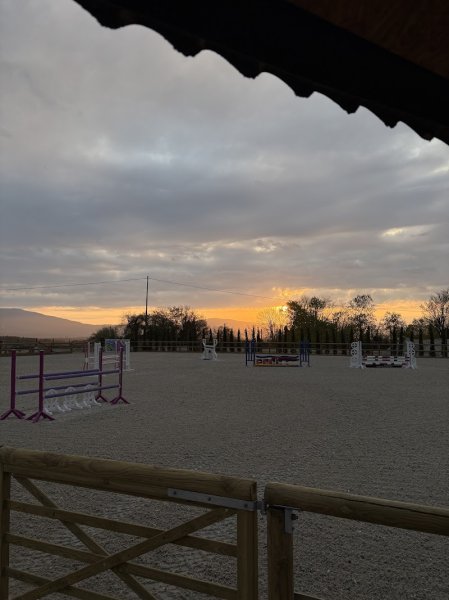 Ecurie Matisse Verel - photo 1