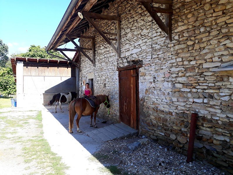 Domaine Equestre de By - photo 2