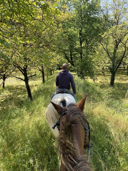 Diego, balades et randonnées à cheval - photo 3
