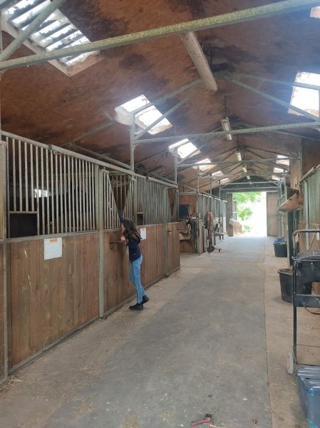 Haras D'Ecotier - photo 1