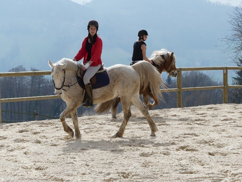 CENTRE EQUESTRE LA BALZANE - photo 2