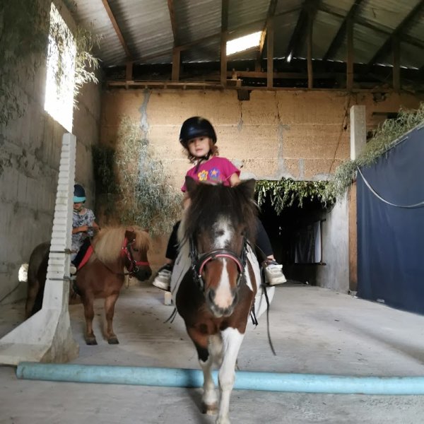 Les poneys du salerieu - photo 2