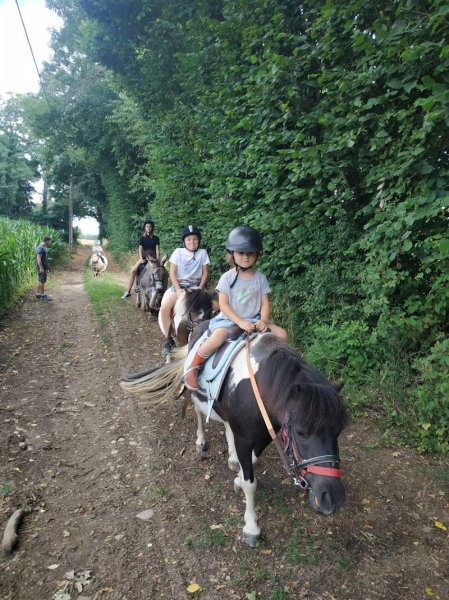 Les poneys du salerieu - photo 3
