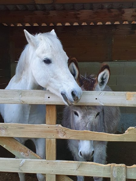 Centre Equestre Richard S. - photo 1