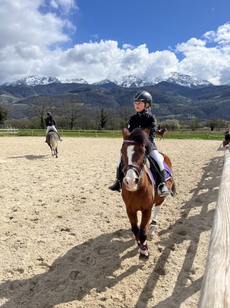 Centre Equestre Richard S. - photo 3
