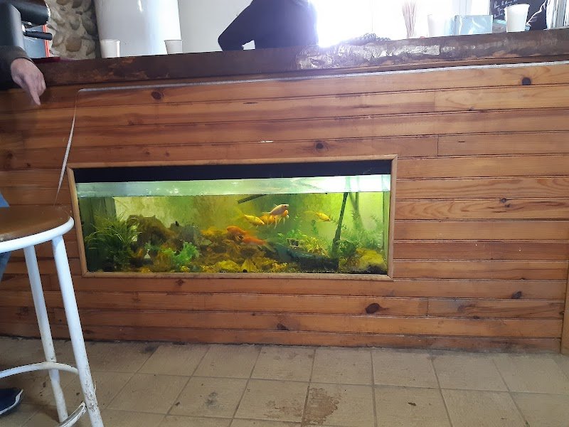 Haras Du Brin D Amour - photo 2