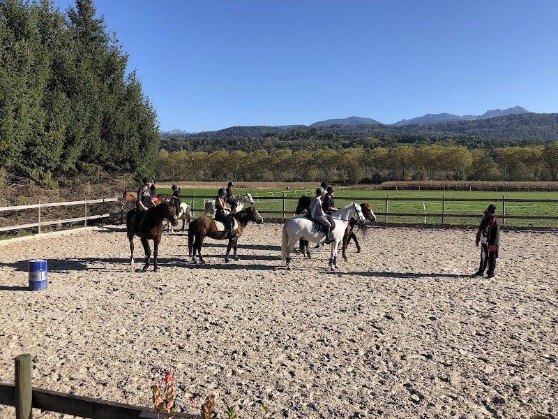 Ecurie DLM - photo 2